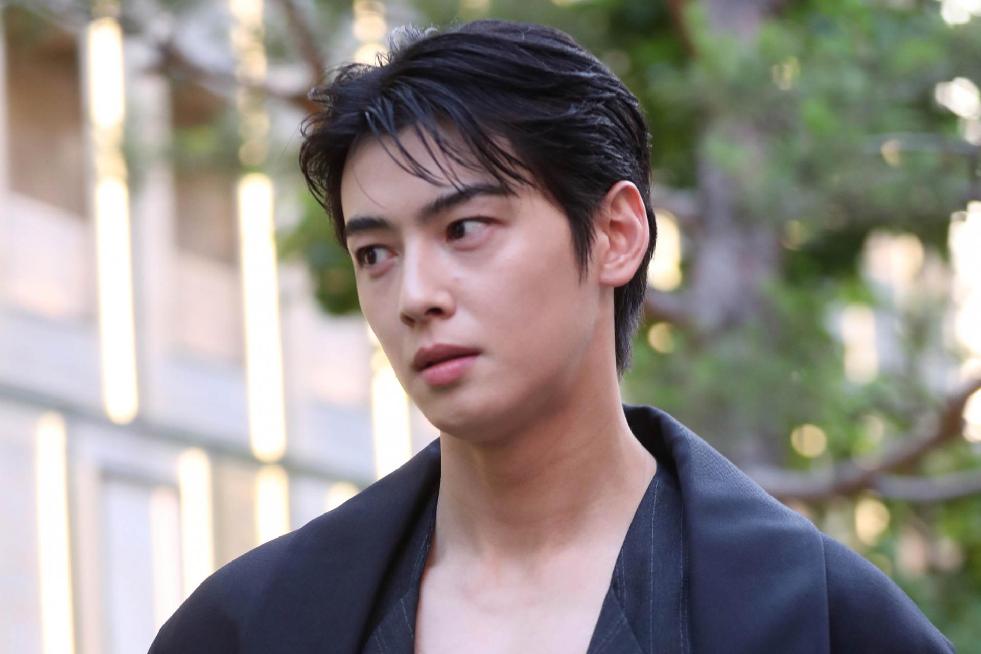 '차은우 방지법' 발의…연예기획사 탈세 원천 차단 나선다