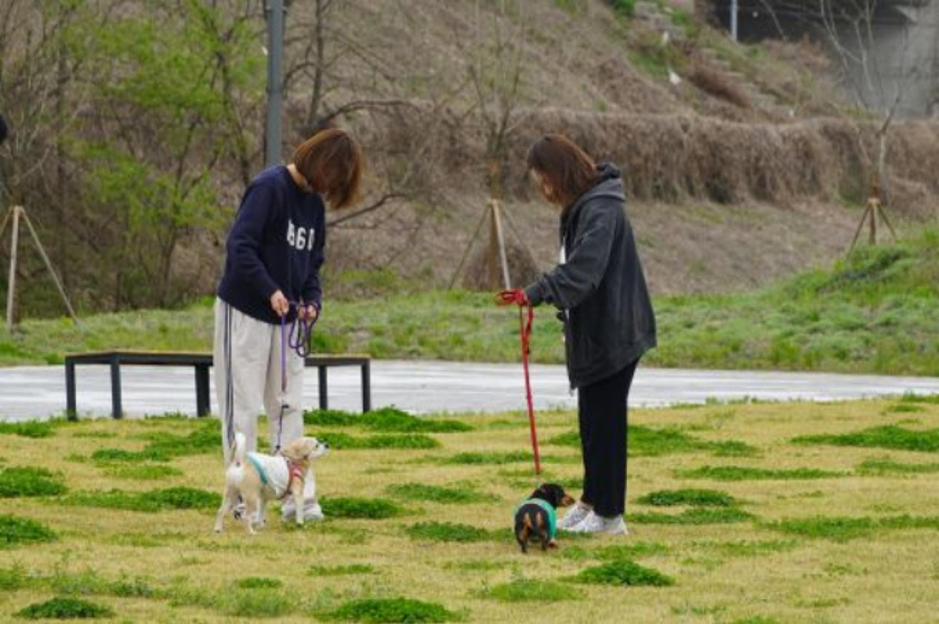 [오늘 경기] 내달부터 반려마루 화성서 동물교감 활동 시작