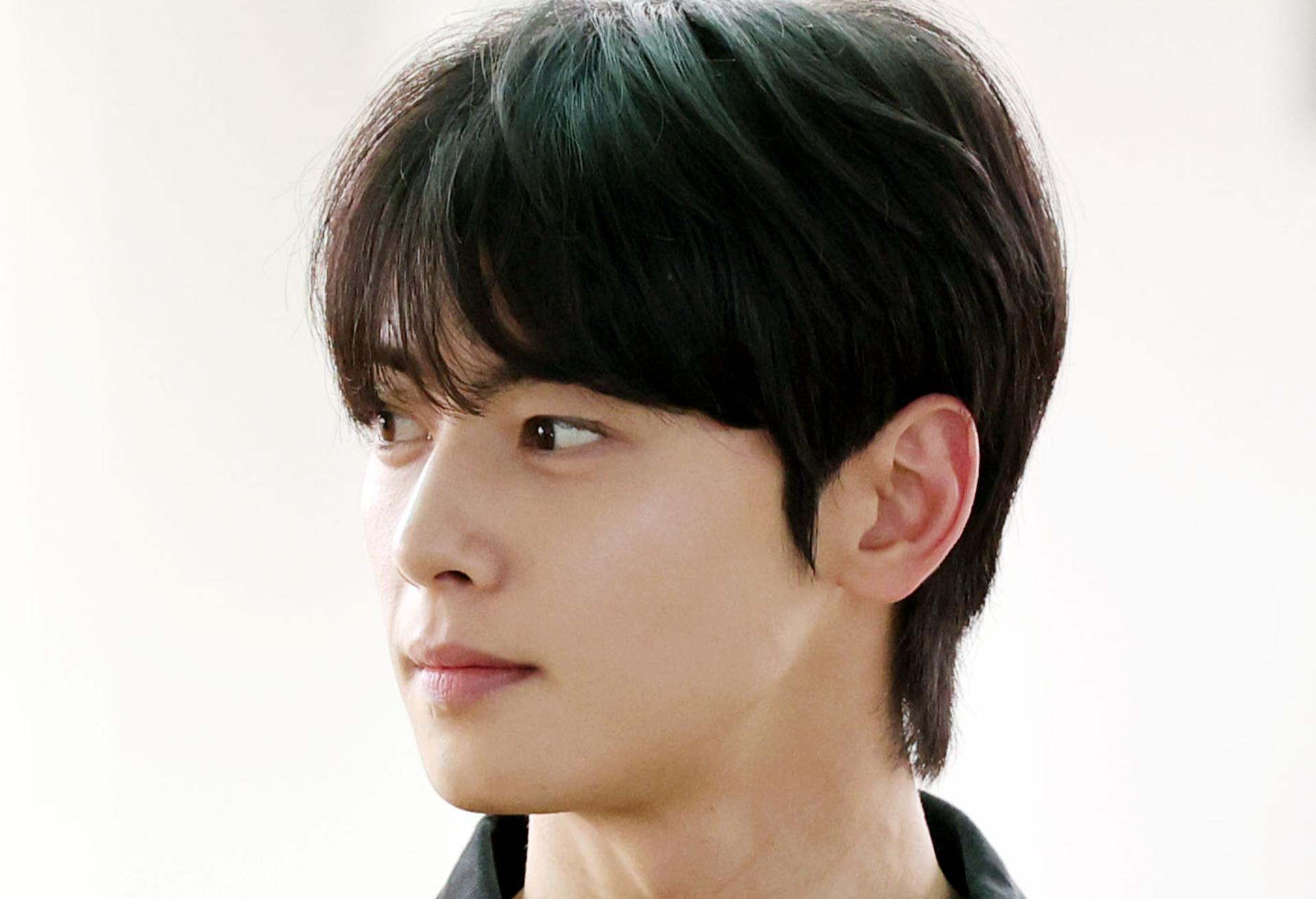 '탈세 의혹' 차은우, 결국 추징금 200억원 모두 냈다…"실망시켜 죄송"