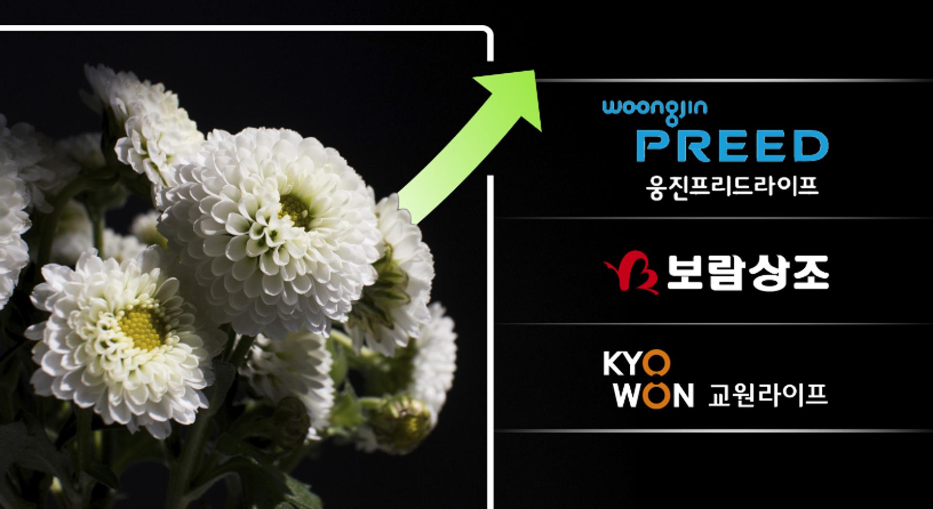 [상조3.0전쟁]여행에 헬스케어…웅진·보람·교원·소노·예다함, 판 흔든다