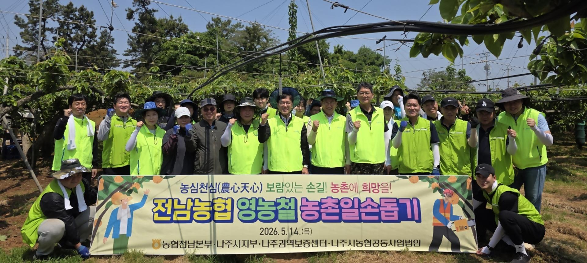 전남농협, 나주 배 재배 농가서 농촌일손돕기