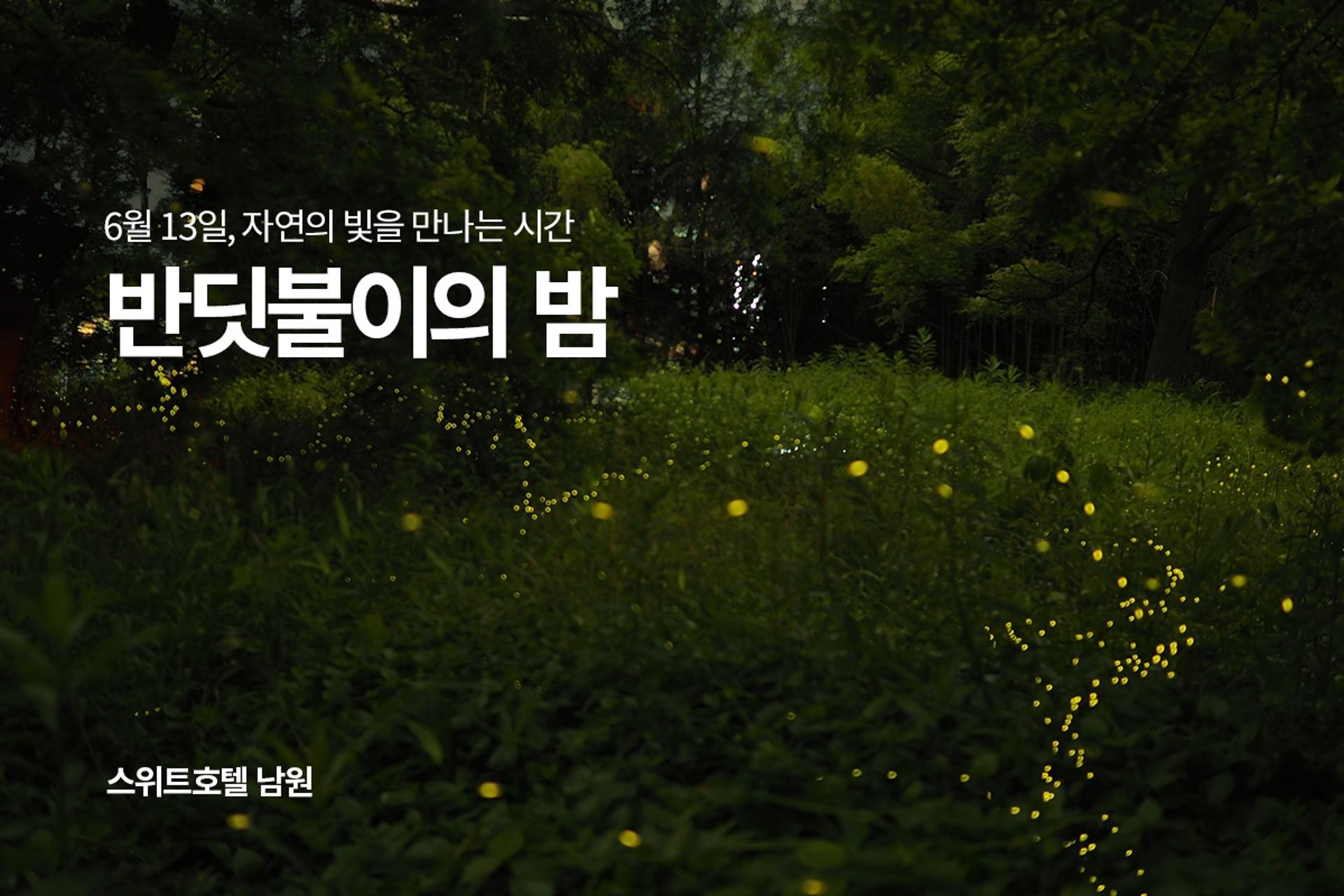 교원그룹 스위트호텔 남원,  생태체험 '반딧불이의 밤' 개최