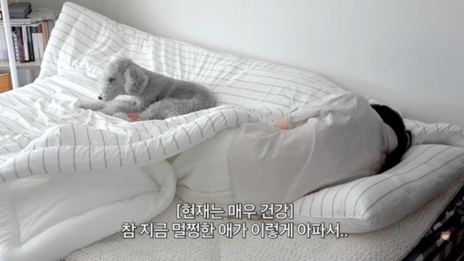 쓰러진 제작진을 반려견 침대에?…엄지원 "게스트룸이었다"