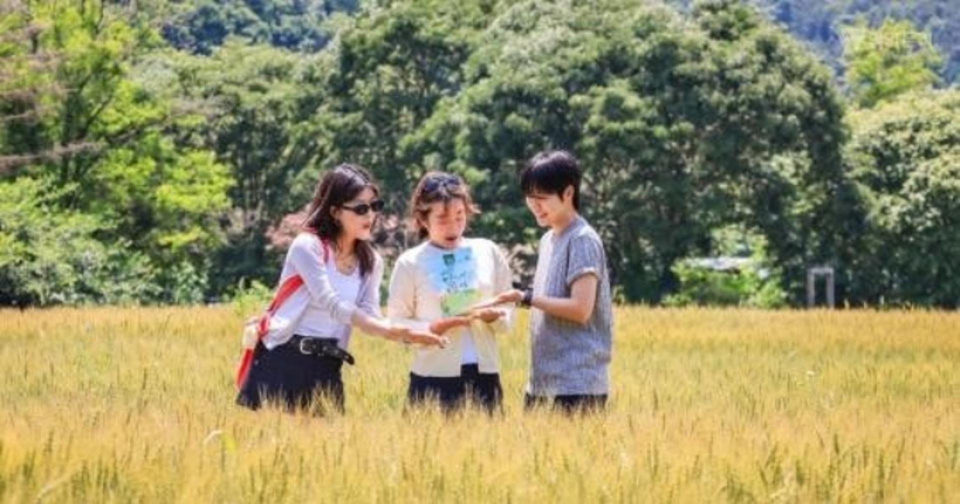 [경기남부 소식] "황금빛 밀밭으로" 양평 밀 축제, 13일 개막 등