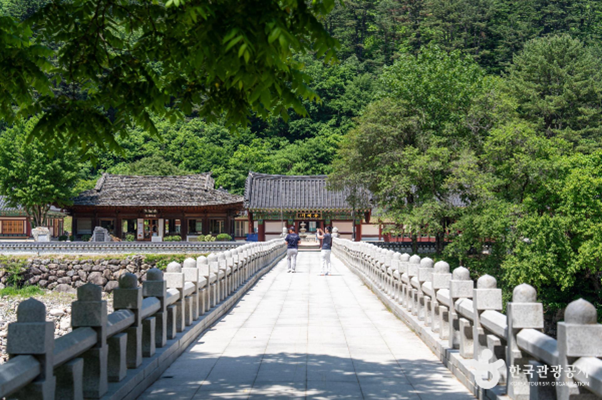 [여행픽]산사 바람 따라 문학 향기 따라…인제 고요 산책