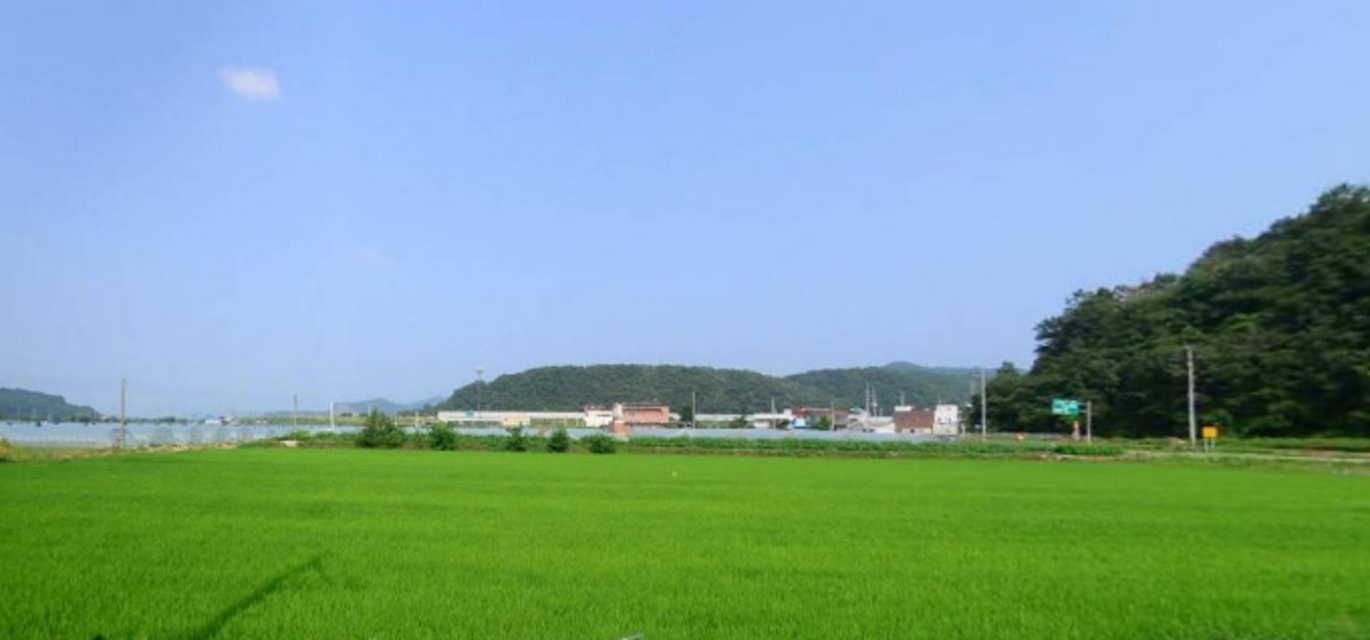 가짜 농부 솎아낸다…경기도, 농업용 농지 자경 등 조사 착수