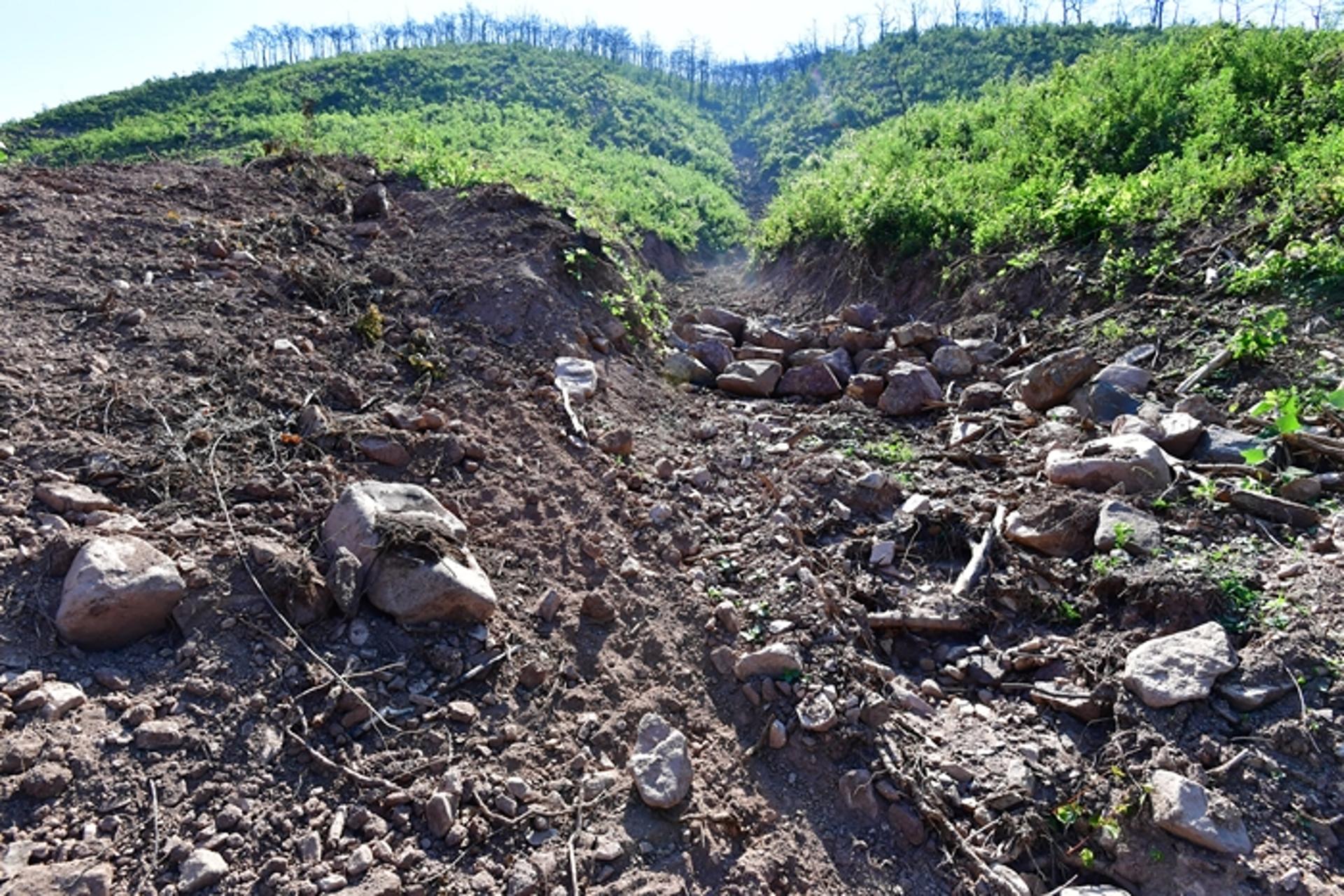 경기·대전·세종 등 산사태 위기경보 '경계'…재난 발생 위험 높아