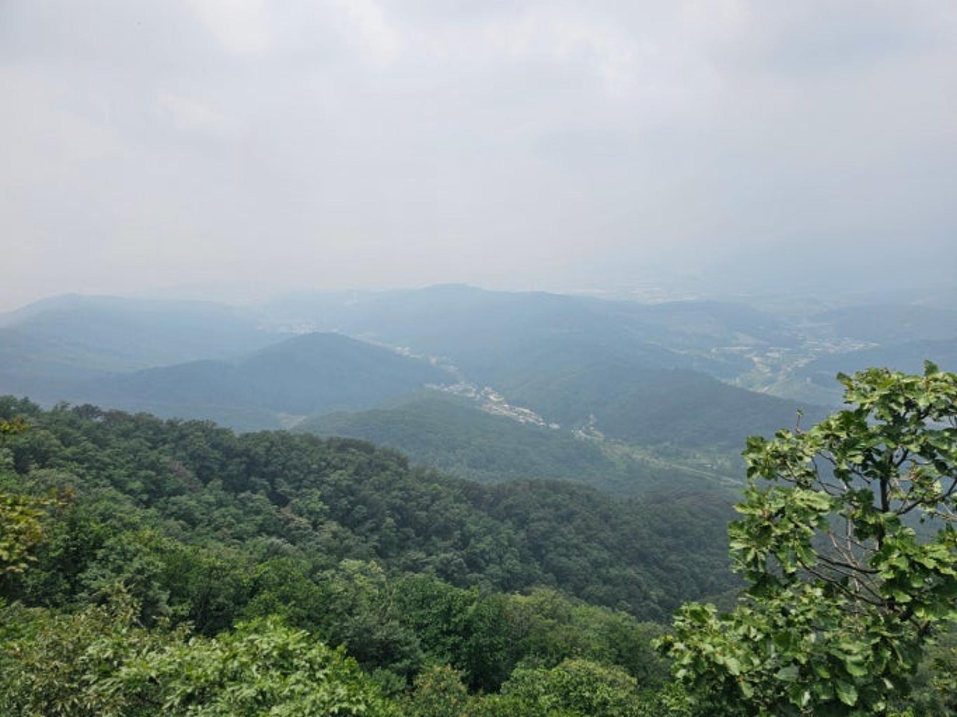 광주 태화산 1.2km 무장애 숲길 조성…총 10억 투입