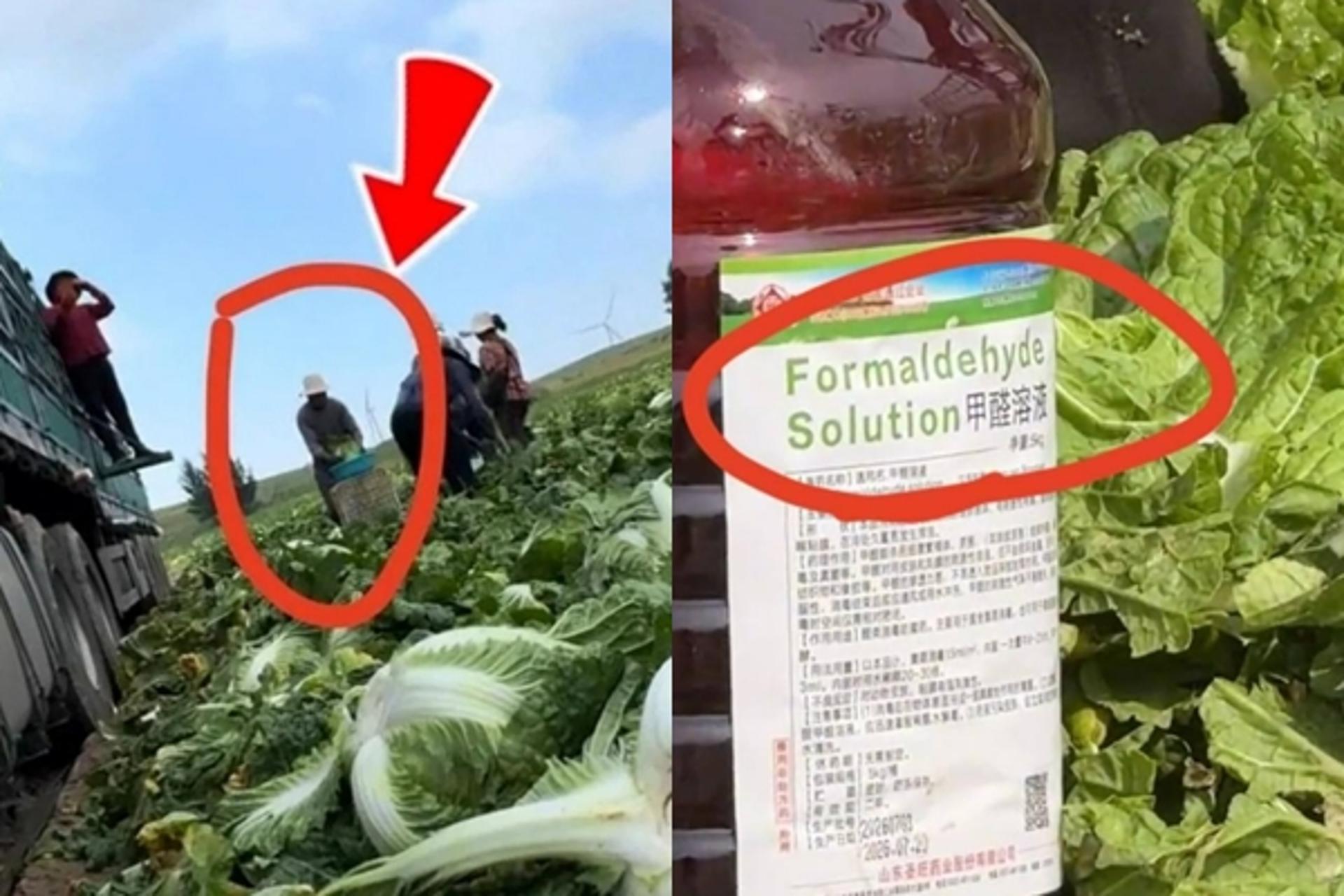 이번엔 '포름알데히드 배추'…중국, 식재료 위생 문제 또 터져