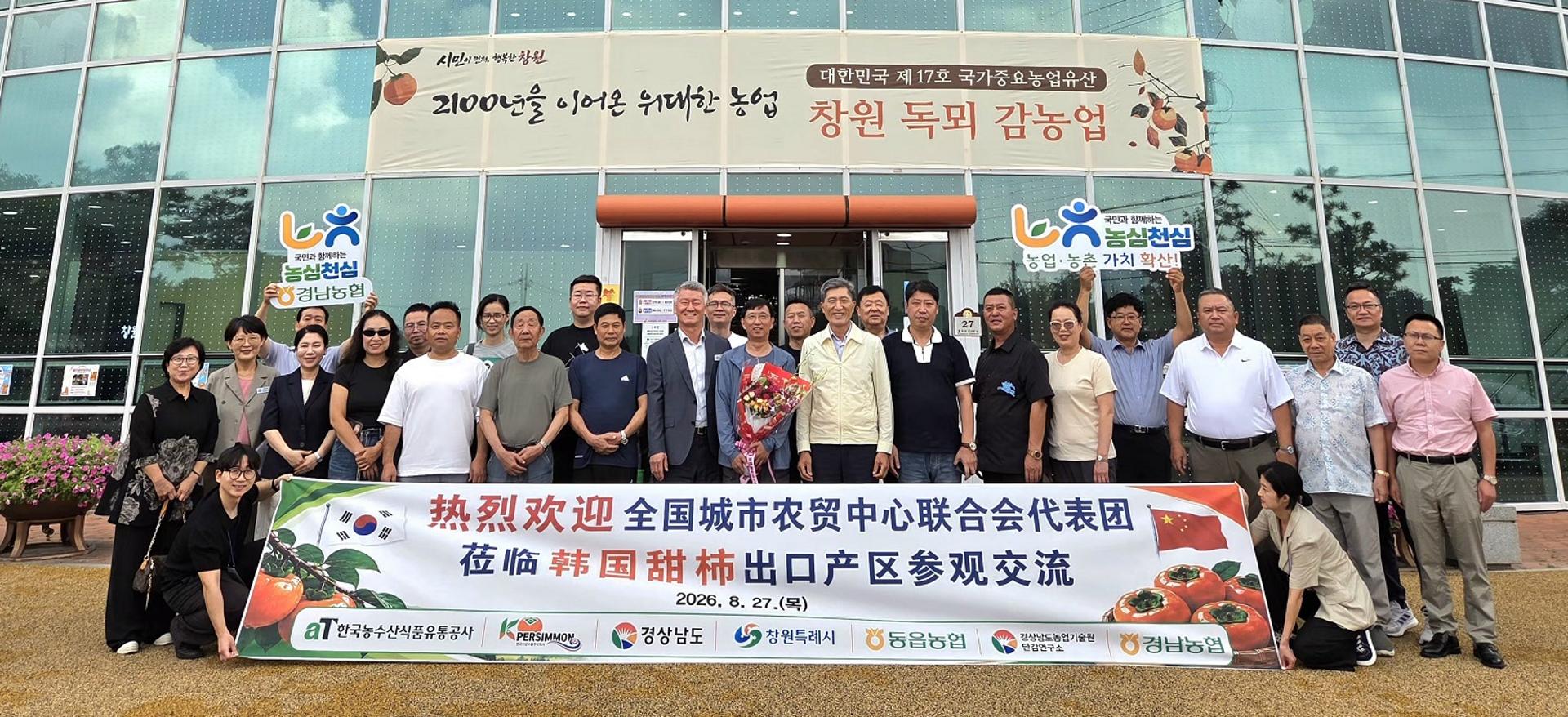 [경남농협 소식]중국 도매시장 관계자들 단감 산지 방문