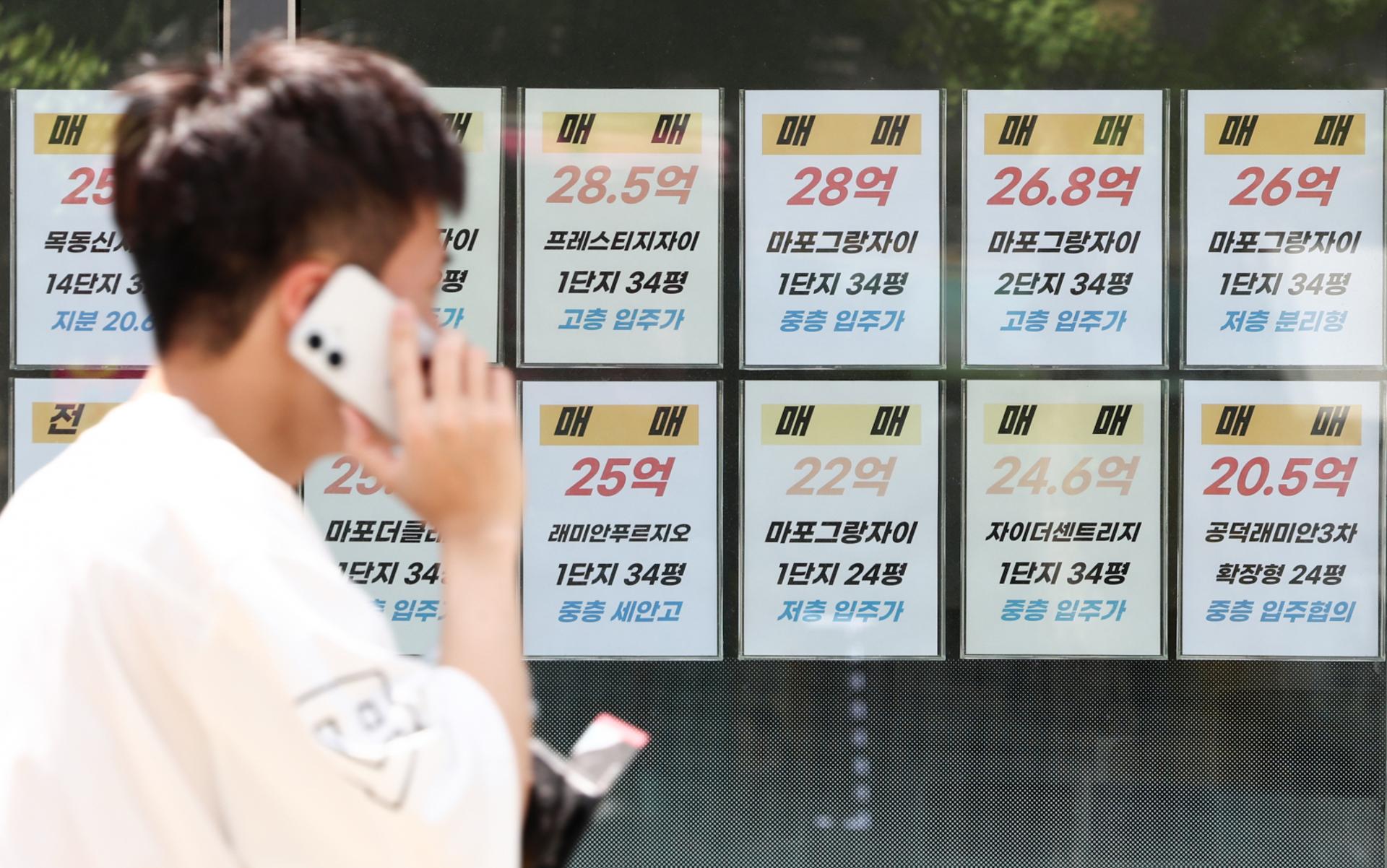 삼전 월세 부정수급 사태, 공인중개사 불법 중개 논란