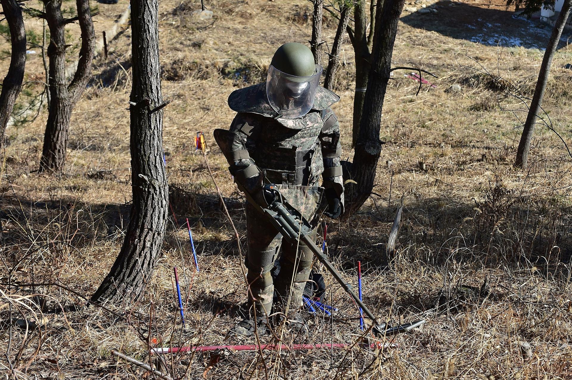 [사설]DMZ 지뢰 참사, 북한 책임 드러나면 엄중 대응해야