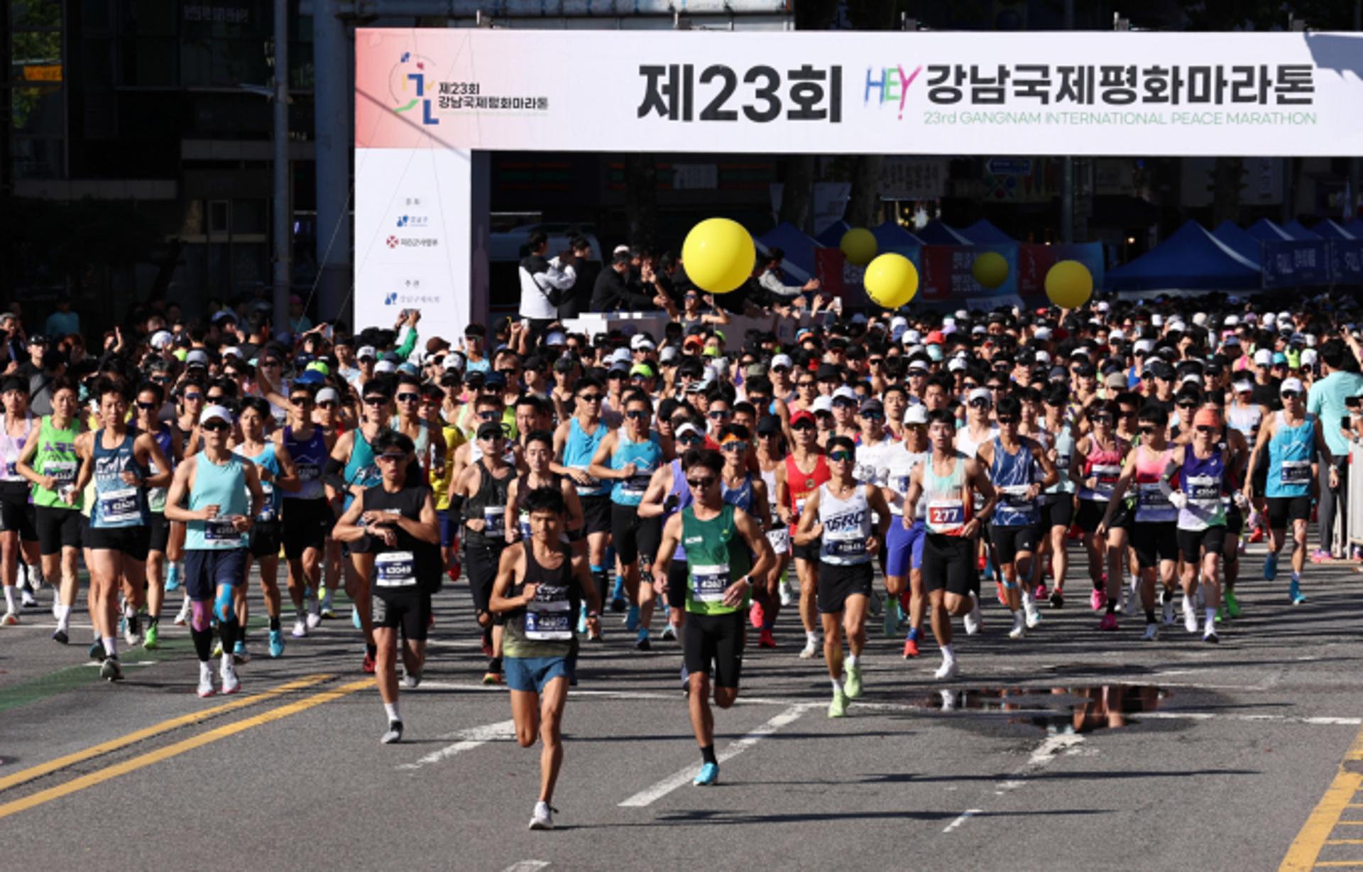 결승선 500m 앞 전력 질주 '위험'…반복되는 마라톤 사고 막으려면