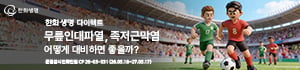 홍보
