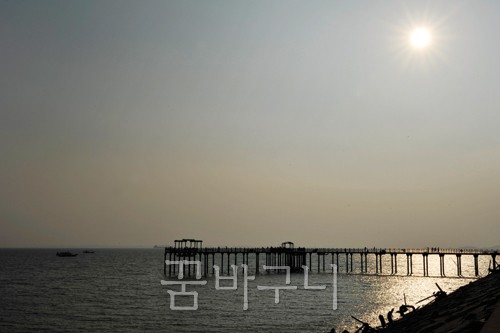 [Photo Essay]눈과 입부터 행복해지는 궁평항