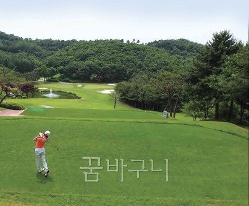 사계절이 코스 안으로…로라 데이비스도 반했다
