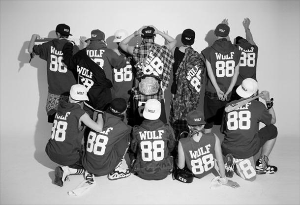 [본격 엑소까기②] ‘엑소(EXO)’는 단지 ‘으르렁’대지만은 않았다