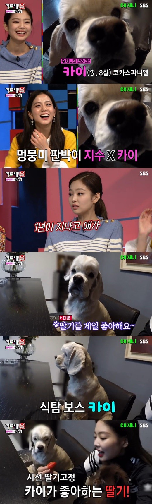 /사진=SBS '가로채널' 캡처