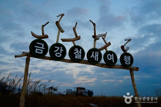 신성리 갈대밭./사진=한국관광공사