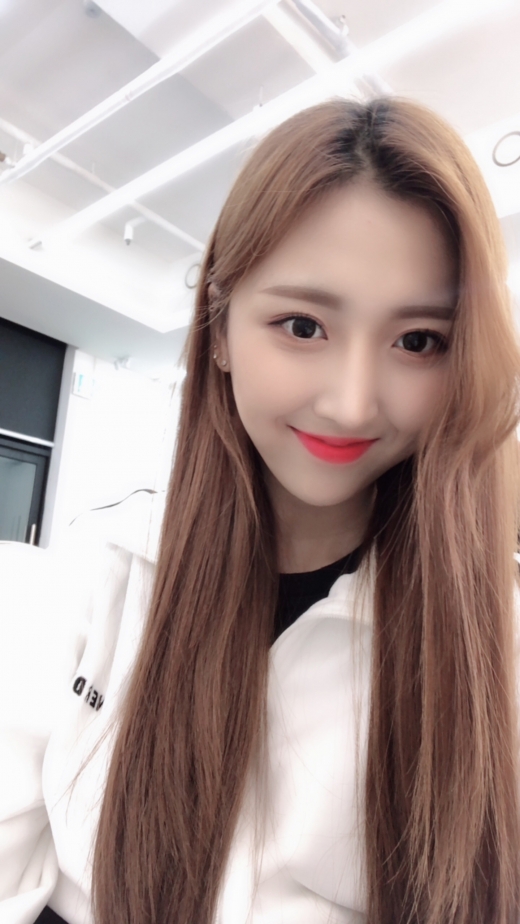 /사진=SD엔터테인먼트
