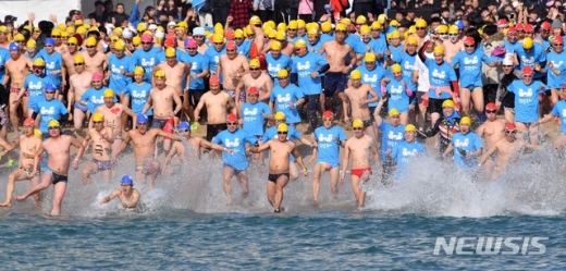 지난 6일 '해운대 북극곰 축제' 참여자들이 바다에 입수하고 있다. /사진=뉴시스