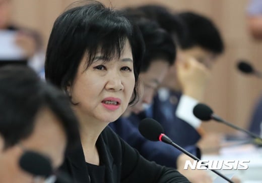 더불어민주당 손혜원 의원. /사진=뉴시스