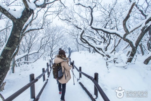 주목 군락이 만들어낸 순백의 눈꽃 터널. /사진=한국관광공사
