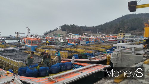 /사진=진도군 제공