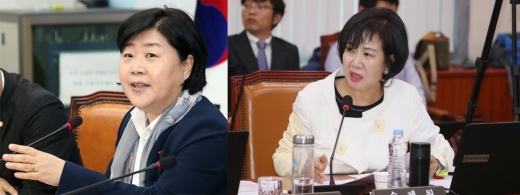 지인 재판 청탁·투기 의혹에 휩싸인 서영교(왼쪽), 손혜원 더불어민주당 의원. /사진=뉴스1