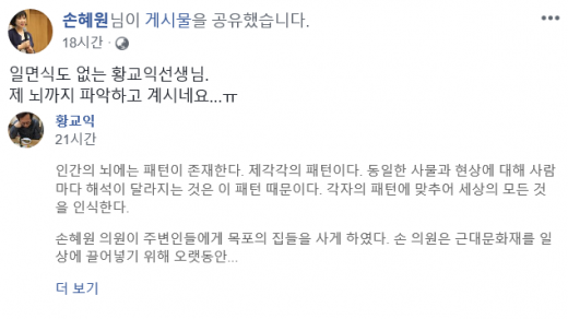 /손혜원SNS 캡처