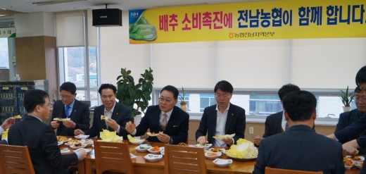 전남농협, 겨울 배추 재배 농가 돕기 앞장