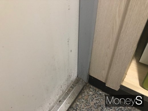 현관에 물방울이 맺힌 모습. /사진=정모씨 제공