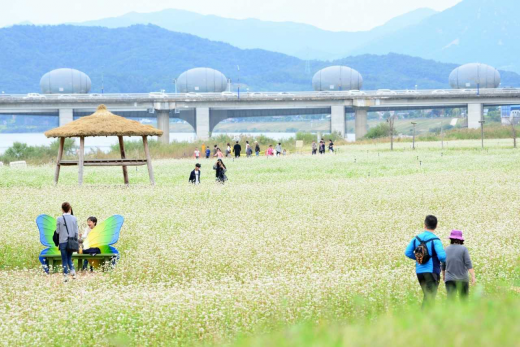 ▲ 당남리섬. / 사진제공=여주시 