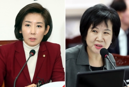 나경원 자유한국당 원내대표(왼쪽)와 손혜원 더불어민주당 의원. /사진=뉴시스