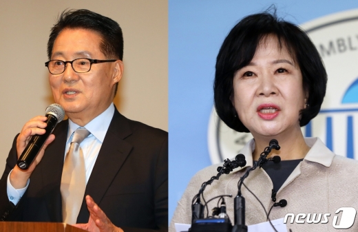 박지원 민주평화당 의원과 손혜원 더불어민주당 의원(오른쪽). /사진=뉴스1