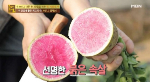  MBN '천기누설'