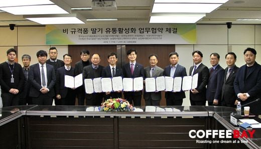 카페창업 전문 ‘커피베이’, 농가돕기 '딸기' 유통 협약 체결!