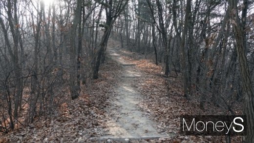 기린산으로 오르는 길. /사진=박성기 여행 칼럼니스트