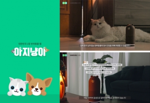 아지냥이. /사진=NBP