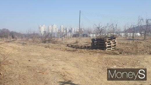 지난해 땅값이 5%가량 상승한 것으로 조사됐다. 사진은 경기도 과천의 한 토지. /사진=김창성 기자