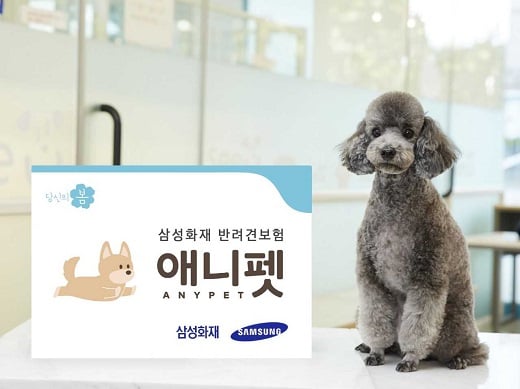 /사진=삼성화재