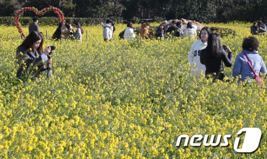  /사진=뉴스1