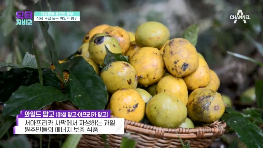 채널A '닥터 지바고' 방송화면 캡처