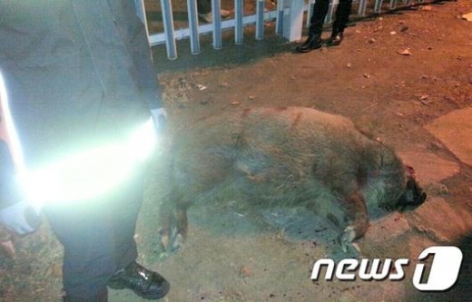 사진은 기사와 관련이 없습니다./사진=뉴스1DB