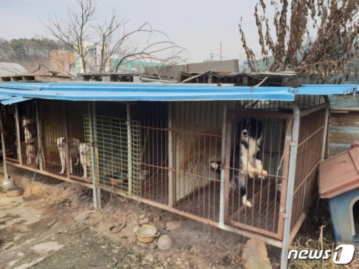A 단체는 활동을 지속하면서 사회관계망서비스(SNS)를 통해 불법 개농장을 방문했다며 활동 내역 사진을 올리고 있다/사진=A단체 페이스북 캡처