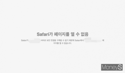 차단 적용된 해외 사이트 캡쳐. /사진=박흥순 기자