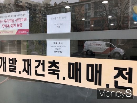 /사진=김노향 기자