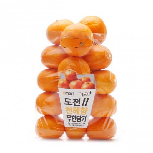@머니S MNB, 식품 외식 유통 · 프랜차이즈 가맹 & 유망 창업 아이템의 모든 것