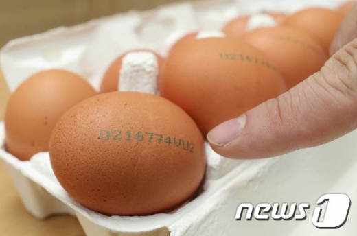23일부터 달걀 껍데가(난각) 산란일자 표시제도가 시행된다. /사진=뉴스1