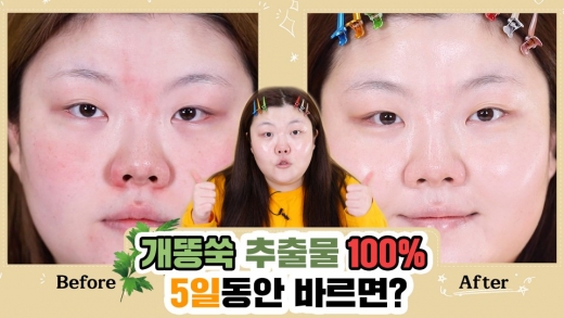 뷰티크리에이터 홀리의 개똥쑥 신제품 관련 인스타그램포스팅 @머니S MNB, 식품 외식 유통 · 프랜차이즈 가맹 & 유망 창업 아이템의 모든 것